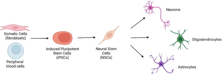 FIGURE 2