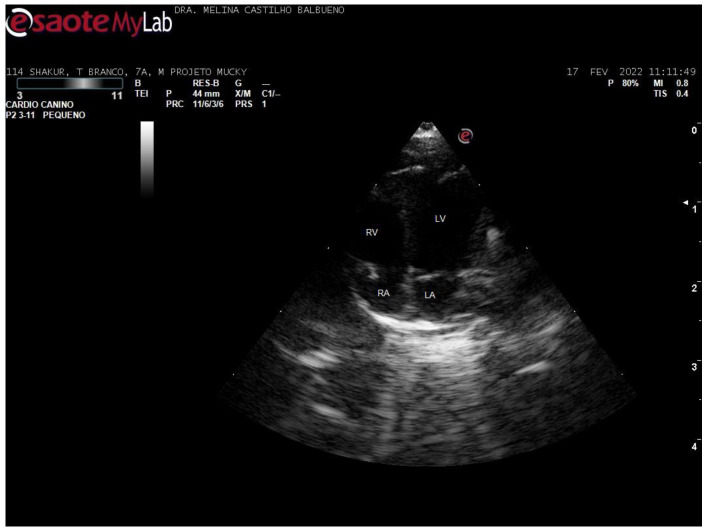 Figure 3