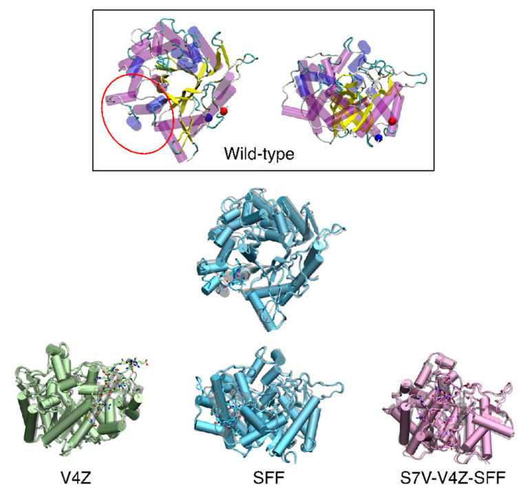 Figure 2