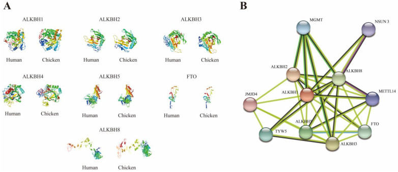 Figure 5