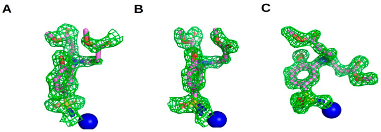 Figure 7