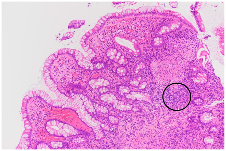 Figure 5
