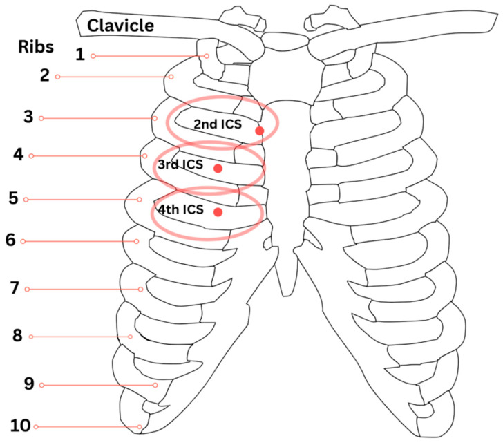 Figure 8