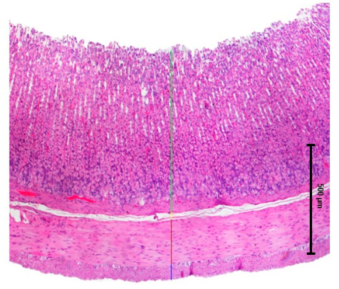 Figure 10