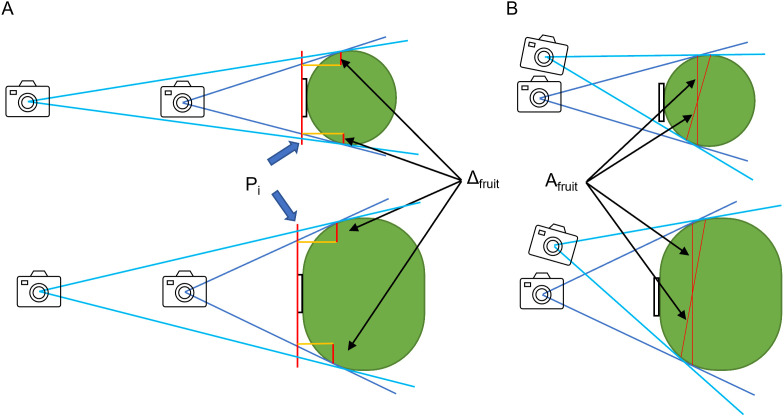 Fig 5