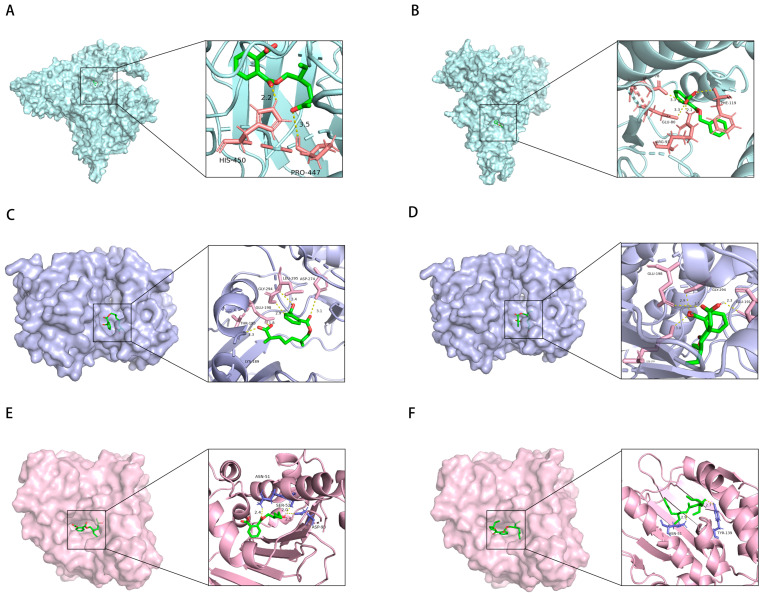 Figure 11