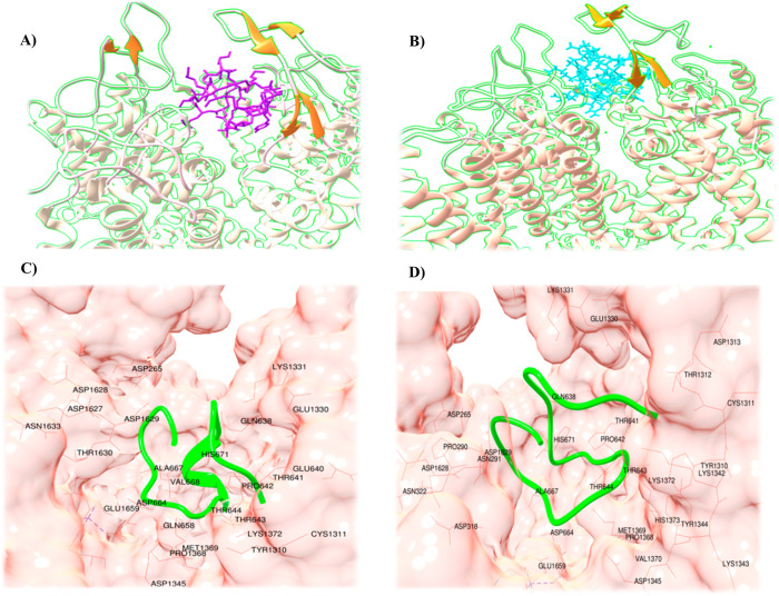 Figure 19