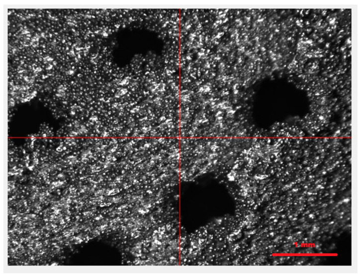 Figure 10