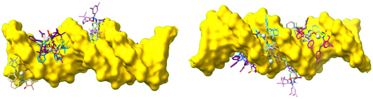 Figure 7