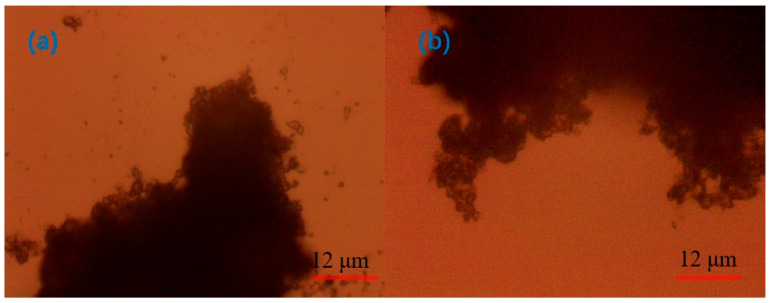 Figure 17