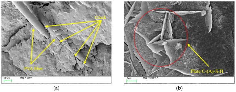 Figure 21