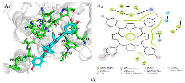 Figure 11