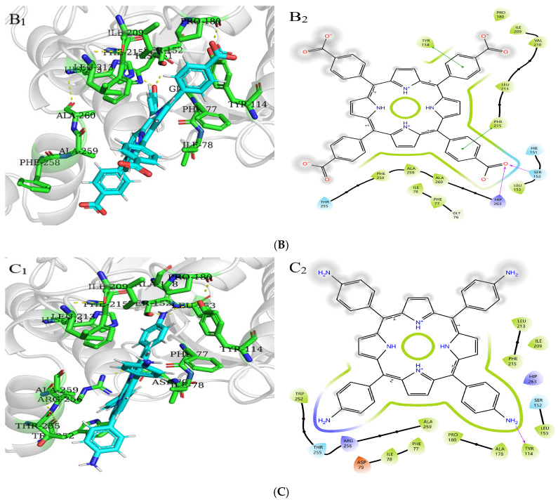 Figure 12