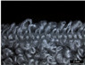 Figure 25