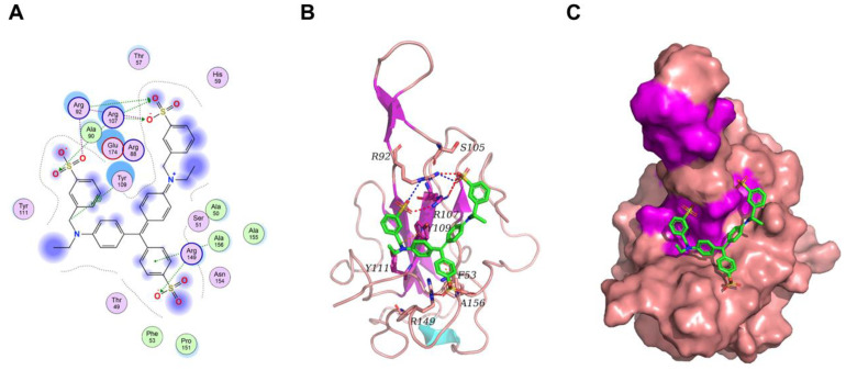 Figure 10