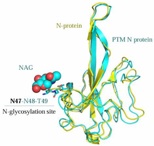 Figure 11