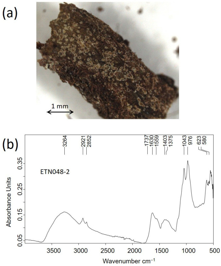 Figure 19