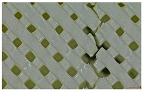 Figure 22
