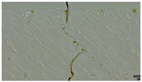 Figure 24