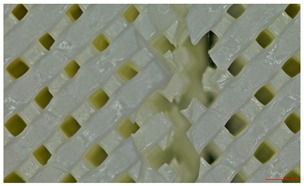 Figure 28