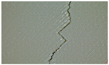 Figure 29