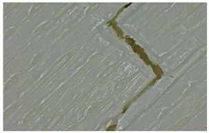 Figure 30