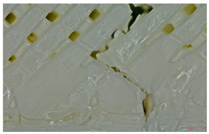 Figure 31