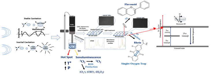 Figure 13
