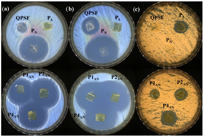 Figure 13
