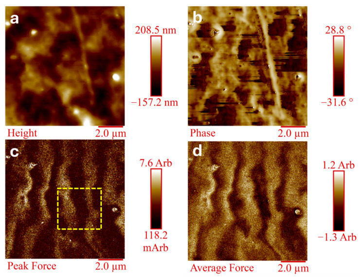 Figure 6