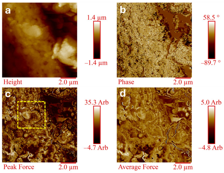 Figure 7