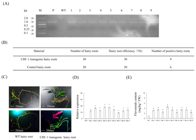 Figure 11