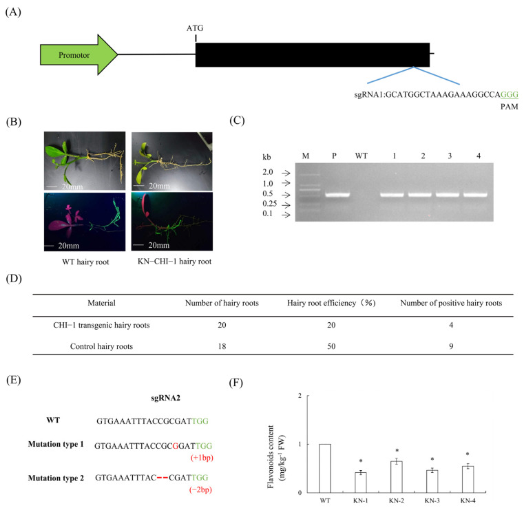 Figure 12