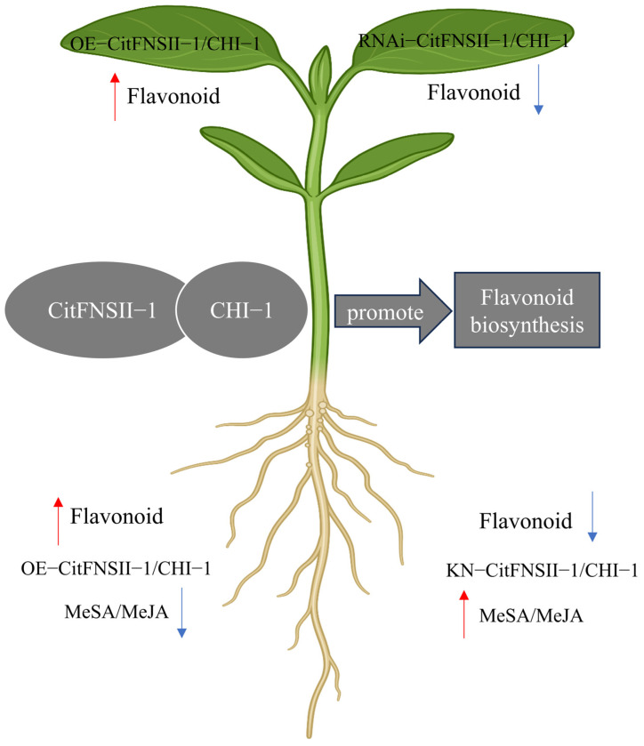 Figure 13