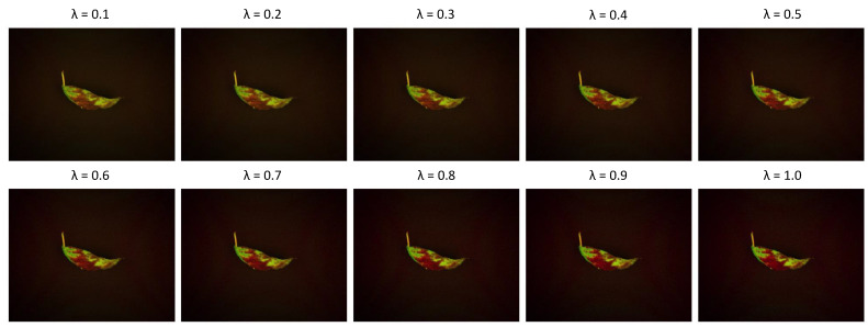 Figure 10