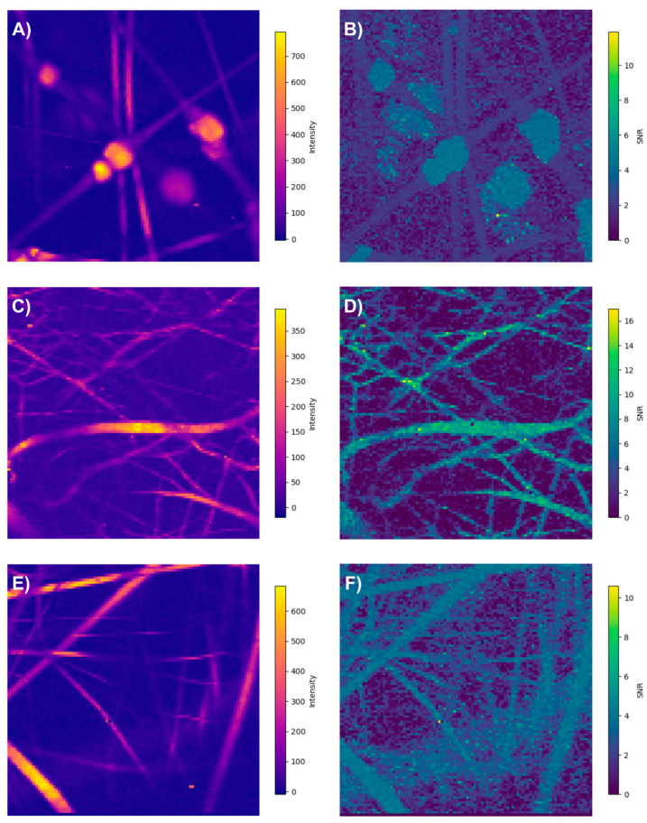 Figure 19