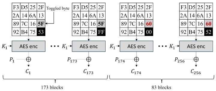 Figure 8