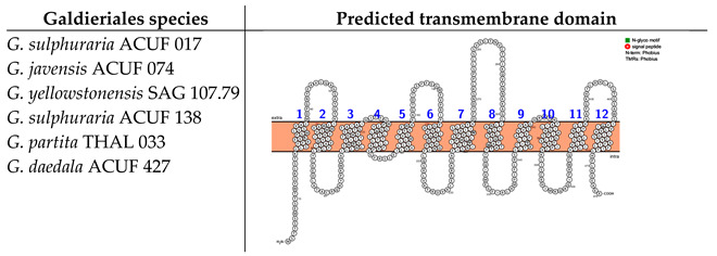 Figure 8