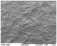 Figure 8