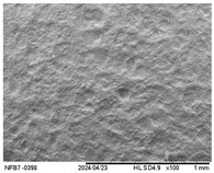 Figure 9