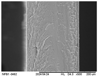 Figure 11