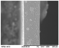 Figure 12