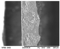 Figure 13