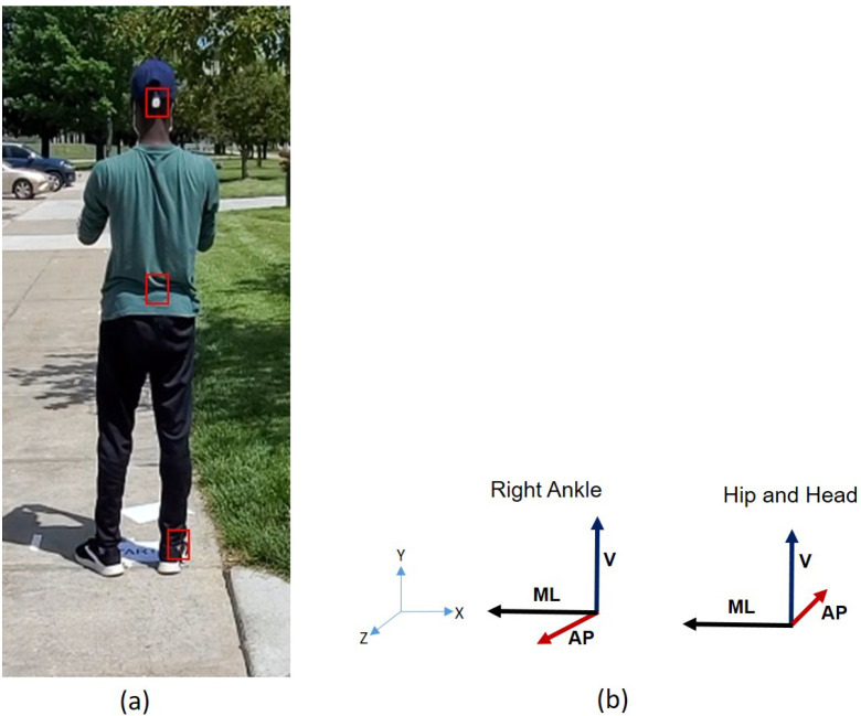 Figure 2
