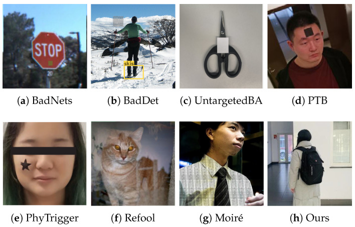 Figure 6
