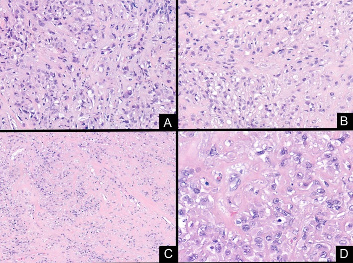 FIGURE 2