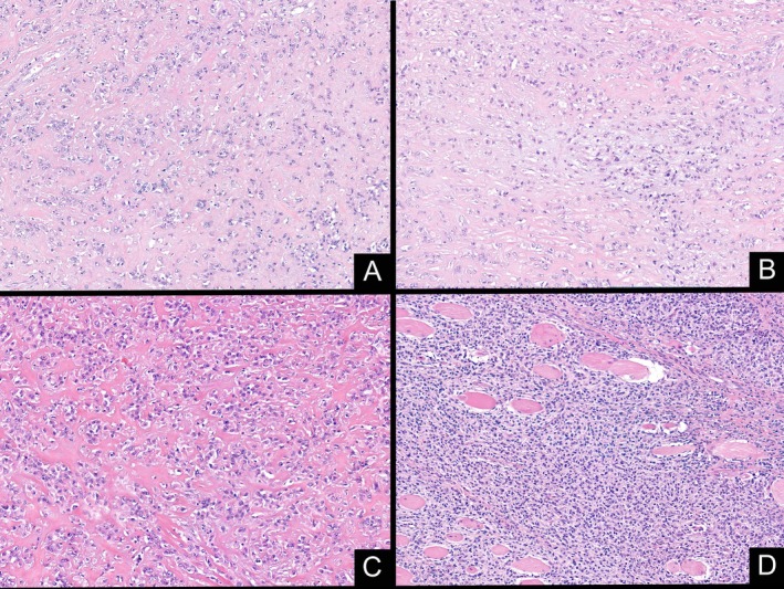 FIGURE 3