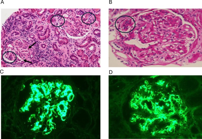 FIGURE 1