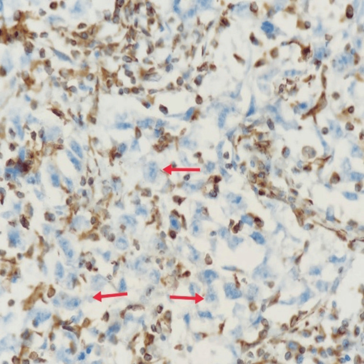 Figure 9