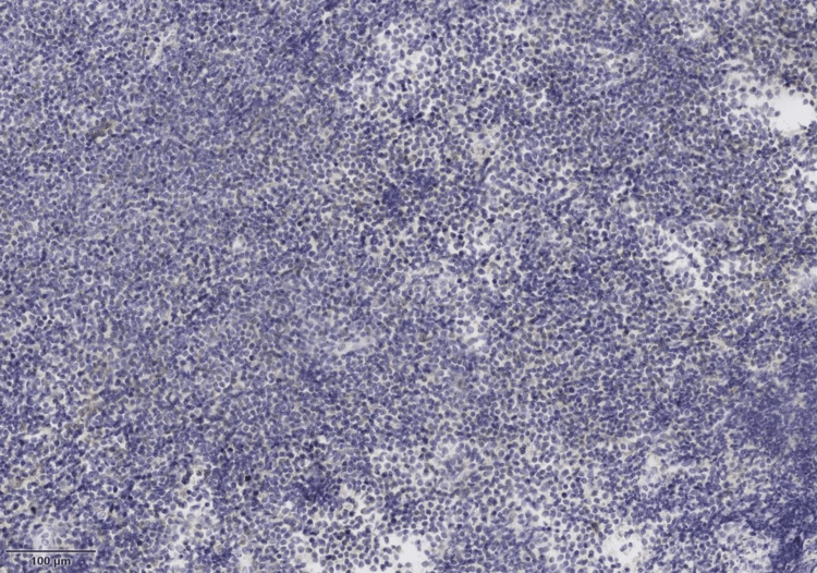 Figure 8